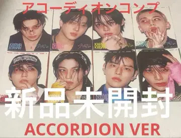 미개봉 새상품 Straykids 스키즈 KARMA 아코디언 8장 세트