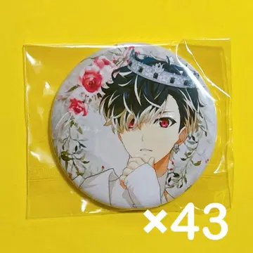 아이나나 캔뱃지 spoon 모모 Re:vale 43개