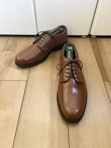 [컨디션 최상] REGAL WALKER 리걸 워커 고어텍스 25cm