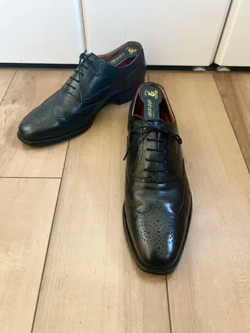 [ 새상품급 ] SCOTCHGRAIN 스코치그레인 윙팁 25