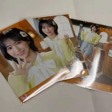 이코럽 생사진 노구치 이오리 나뭇잎 사이의 햇살 메조포르테 컴프 세트