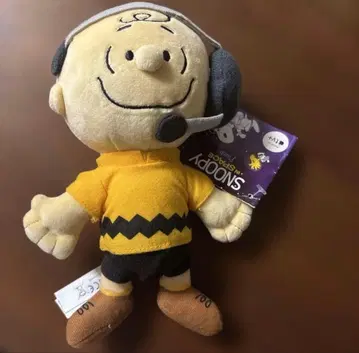 12/16까지 [택 포함 새상품] NASA 찰리 브라운