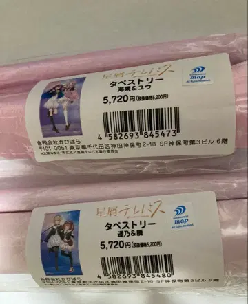 별똥별 텔레파시 태피스트리 2개 세트 + 쇼핑백