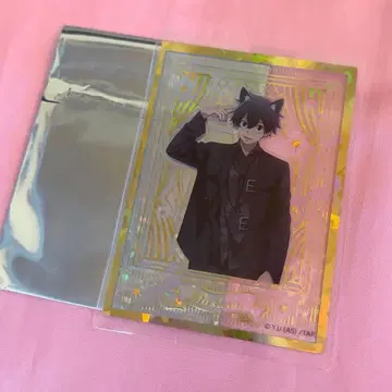 도원암귀 케모미미 고딕 파티 홀로그램 클리어 카드 금박 요도카와 마스미