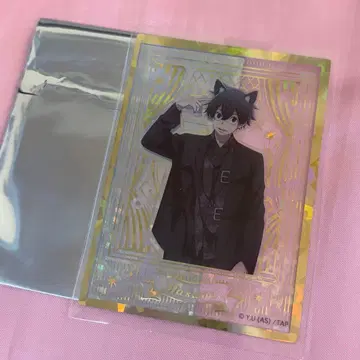 도원암귀 케모미미 고딕 파티 홀로그램 클리어 카드 금박 요도카와 마스미