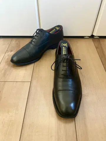 [ 새상품급 ] SCOTCHGRAIN 스코치그레인 아슈란스 25.5