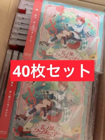 리이누군 언어 원더랜드 앨범 일반 버전 40장 세트