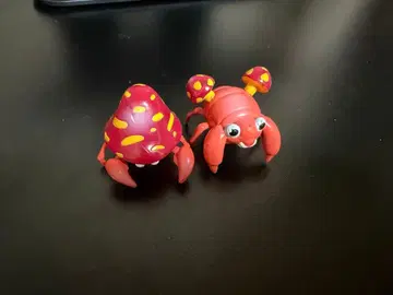 몬코레 파라스 파라섹트 세트