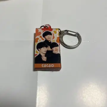 cacao 탓페이 우라타 스타크 타카하시