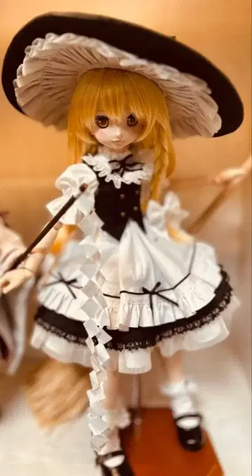 MDD 마리사 동방