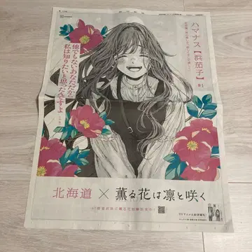 향기로운 꽃은 늠름하게 피다 홋카이도 지면 밤