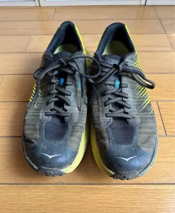 호카 오네오네 에보 스피드 고트