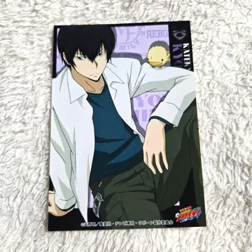 가정교사 히트맨 REBORN! 캐릭터 액세서리 브로마이드 히바리 쿄야