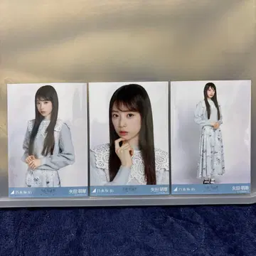 노기자카46 브로마이드 야타 모에카 컴프 카라 부착 코디