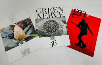 히라사와 스스무 그린 너브 Green Nerve 뉴스레터 45 46 47