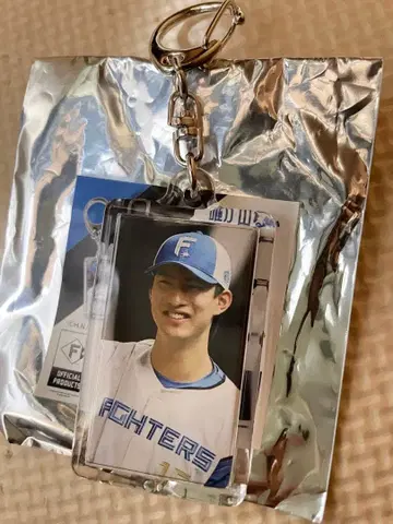 타츠코타 미니 키링