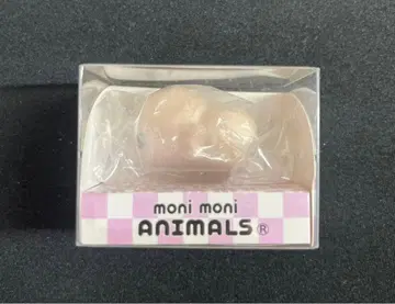 모니마루즈 살라만다 moni moni animals