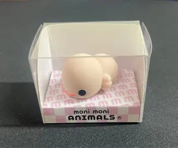 모니마루즈 살라만다 moni moni animals