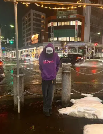 iDea 뱀 자수 후드티 보라색