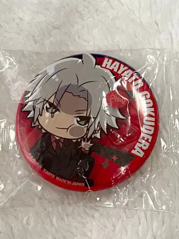 REBORN 캔뱃지 피타데포메 고쿠데라 하야토 십년 후