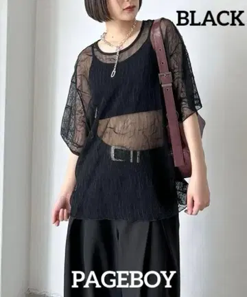 PAGEBOY 페이지 보이 시어 탑 반팔 3개 묶음 판매