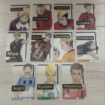 하이큐 금박 클리어 카드 묶음 판매