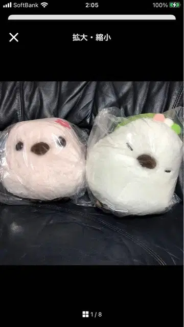 복복 시마연가 봄빛 화창 봉제 인형 울트라 BIG 벚꽃 경단 세트