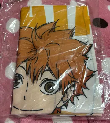 극락탕 x 하이큐!! 노보리 히나타 쇼요