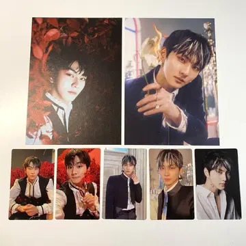 ENHYPEN DARKBLOOD 정원 세트