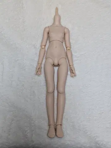 보크스 MDD MDDIII 베이스 바디 프레쉬 (노멀 스킨)