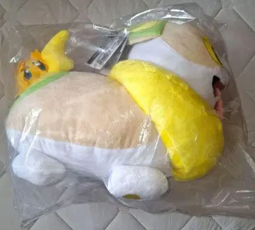 포켓몬 봉제 인형 부르부르바츄르 완파치 포함