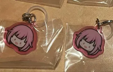 프로세카 메지루시 참 2개 세트