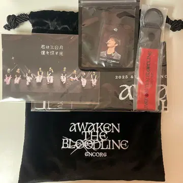 &TEAM AWAKEN THE BLOODLINE 업그레이드 혜택