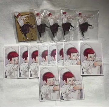 텐도 사토리 크로니클 아크릴 피규어 포토 카드 묶음 판매