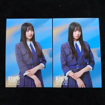 히나타자카46 사카이 니이나 [신참자 2025] 엽서 2종 컴프 세트