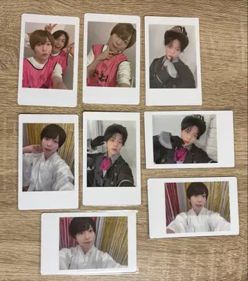 팬더 드래곤 하피카 팟치 8매 세트