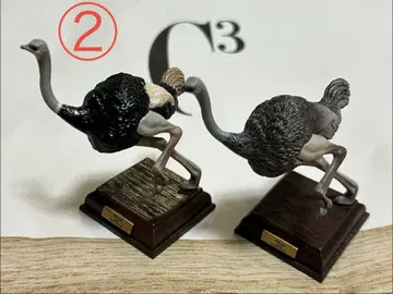 2 네이처 테크니컬러 사바나 타조 수컷&암컷 세트 피규어