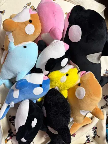 범고래 복권 스마 시월드 카모가와 시월드 한정판 수족관