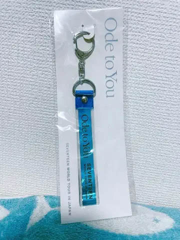 SEVENTEEN Ode to You 은테 키링