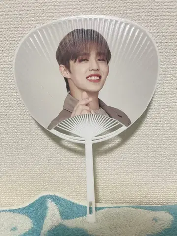 SEVENTEEN 에스크 Ode to You 부채