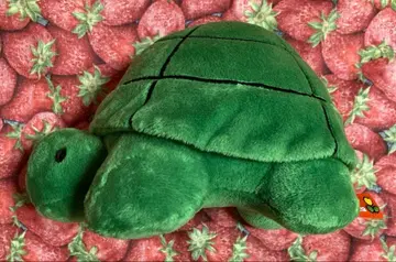 거북이 거북이 거북이 터틀 Dick Bruna 블루나 미피 봉제 인형