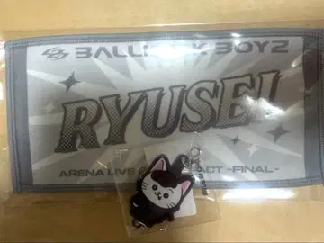 카이누마 류세이 네임 미니 타월 류세냥 이어지는 참