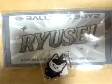 카이누마 류세이 네임 미니 타월 류세냥 이어지는 참