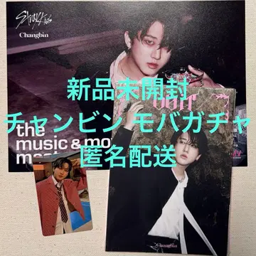 미개봉 새상품 창빈 DOIT [모바가챠] 아코디언 플라이어 set