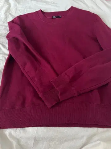 ZARA 버건디 크루넥 맨투맨