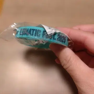 LUNATIC FEST. 2025 러버 밴드 터콰이즈