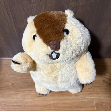 마모트의 모토토 구이인 점보 아타로