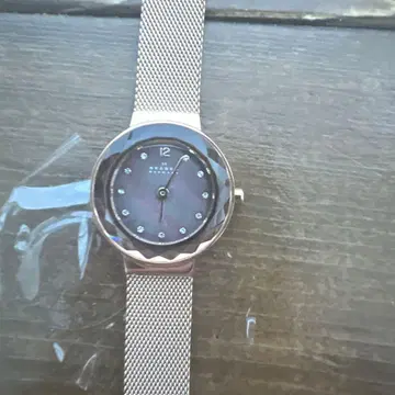 SKAGEN 다크 브라운 메쉬 밴딩 손목시계