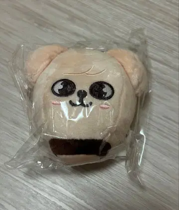 SKZOO 기구 백참 (puppym) 승민