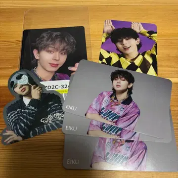 EIKU SWAG 트레이딩 카드 스티커 AMAZONIA